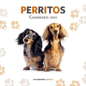 CALENDARIO PERRITOS 2025 | 9788448041649 | AA. VV. | Llibres Parcir | Librería Parcir | Librería online de Manresa | Comprar libros en catalán y castellano online