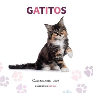 CALENDARIO GATITOS 2025 | 9788448041656 | AA. VV. | Llibres Parcir | Librería Parcir | Librería online de Manresa | Comprar libros en catalán y castellano online
