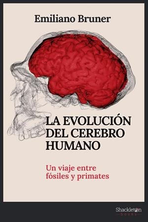 LA EVOLUCIÓN DEL CEREBRO HUMANO | 9788413612249 | BRUNER, EMILIANO | Llibres Parcir | Librería Parcir | Librería online de Manresa | Comprar libros en catalán y castellano online