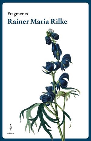 FRAGMENTS RAINER MARIA RILKE | 9788409638277 | RILKE, RAINER MARIA | Llibres Parcir | Librería Parcir | Librería online de Manresa | Comprar libros en catalán y castellano online