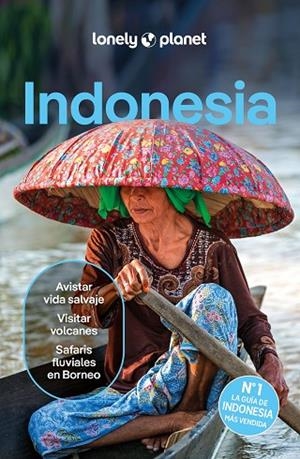 INDONESIA 6 | 9788408291190 | D'ARCY, JAYNE/EIMER, DAVID/HARDING, PAUL/JOHANSON, MARK/LEE, JASON/ST.LOUIS, REGIS/BERKMOES, RYAN VE | Llibres Parcir | Librería Parcir | Librería online de Manresa | Comprar libros en catalán y castellano online