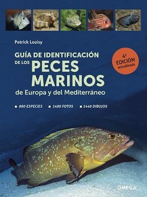 GUIA DE IDENTIFICACION DE LOS PECES MARINOS DE EUROPA | 9788428217774 | PATRICK LOUISY | Llibres Parcir | Librería Parcir | Librería online de Manresa | Comprar libros en catalán y castellano online