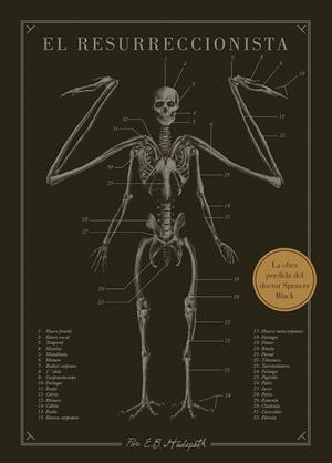 EL RESURRECCIONISTA | 9788445019078 | HUDSPETH, E. B. | Llibres Parcir | Llibreria Parcir | Llibreria online de Manresa | Comprar llibres en català i castellà online