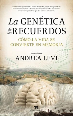 LA GENÉTICA DE LOS RECUERDOS | 9788419414540 | ANDREA LEVI | Llibres Parcir | Librería Parcir | Librería online de Manresa | Comprar libros en catalán y castellano online