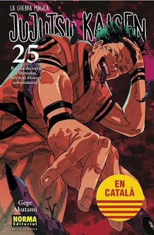 JUJUTSU KAISEN 25 CATALA | 9788467969979 | AKUTAMI, GEGE | Llibres Parcir | Librería Parcir | Librería online de Manresa | Comprar libros en catalán y castellano online