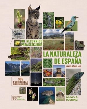 UN RECORRIDO PARA DESCUBRIR LA NATURALEZA DE ESPAÑA. | 9788491588733 | GÓMEZ AOIZ, JAVIER | Llibres Parcir | Llibreria Parcir | Llibreria online de Manresa | Comprar llibres en català i castellà online