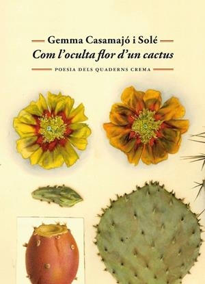 COM L'OCULTA FLOR D'UN CACTUS | 9788477277071 | CASAMAJÓ I SOLÉ, GEMMA | Llibres Parcir | Llibreria Parcir | Llibreria online de Manresa | Comprar llibres en català i castellà online