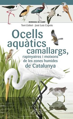 OCELLS AQUÀTICS CAMALLARGS, RAPINYAIRES I MOIXONS DE LES ZONES HUMIDES DE CATALU | 9788413564746 | COPETE, JOSÉ LUIS | Llibres Parcir | Llibreria Parcir | Llibreria online de Manresa | Comprar llibres en català i castellà online
