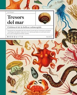 TRESORS DEL MAR | 9788419095756 | MARGARIT, NÚRIA | Llibres Parcir | Librería Parcir | Librería online de Manresa | Comprar libros en catalán y castellano online