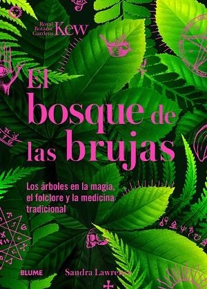 BOSQUE DE LAS BRUJAS | 9788410268272 | LAWRENCE, SANDRA/ROYAL BOTANIC GARDENS | Llibres Parcir | Llibreria Parcir | Llibreria online de Manresa | Comprar llibres en català i castellà online