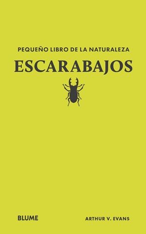 PEQUEÑO LIBRO DE LA NATURALEZA. ESCARABAJOS | 9788410268739 | EVANS, ARTHUR V | Llibres Parcir | Llibreria Parcir | Llibreria online de Manresa | Comprar llibres en català i castellà online