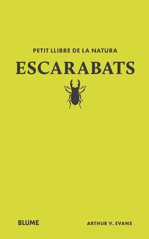 PETIT LLIBRE DE LA NATURA. ESCARABATS | 9788410268746 | EVANS, ARTHUR V | Llibres Parcir | Llibreria Parcir | Llibreria online de Manresa | Comprar llibres en català i castellà online