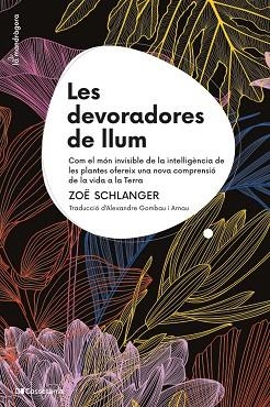 LES DEVORADORES DE LLUM | 9788413564821 | SCHLANGER, ZOË | Llibres Parcir | Llibreria Parcir | Llibreria online de Manresa | Comprar llibres en català i castellà online
