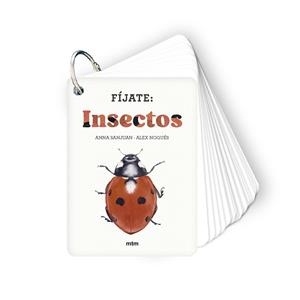 FÍJATE: INSECTOS | 9788410407183 | SANJUAN LLORENS, ANNA/NOGUÉS, ALEX | Llibres Parcir | Llibreria Parcir | Llibreria online de Manresa | Comprar llibres en català i castellà online