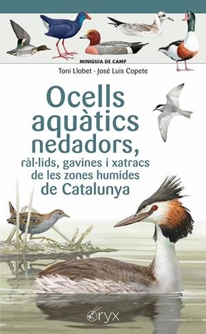 OCELLS AQUÀTICS NEDADORS, RÀL·LIDS, GAVINES I XATRACS DE LES ZONES HUMIDES DE CA | 9788413564883 | COPETE, JOSÉ LUIS | Llibres Parcir | Llibreria Parcir | Llibreria online de Manresa | Comprar llibres en català i castellà online