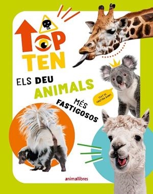 TOP TEN ELS DEU ANIMALS MÉS FASTIGOSOS | 9788410302273 | CRISTINA BANFI | Llibres Parcir | Llibreria Parcir | Llibreria online de Manresa | Comprar llibres en català i castellà online