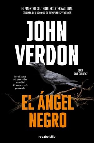 EL ÁNGEL NEGRO (SERIE DAVID GURNEY 7) | 9788418850127 | VERDON, JOHN | Llibres Parcir | Llibreria Parcir | Llibreria online de Manresa | Comprar llibres en català i castellà online