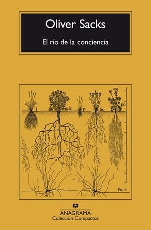 EL RÍO DE LA CONCIENCIA | 9788433946867 | SACKS, OLIVER | Llibres Parcir | Llibreria Parcir | Llibreria online de Manresa | Comprar llibres en català i castellà online
