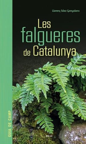 LES FALGUERES DE CATALUNYA | 9791387701017 | SÁEZ GONYALONS, LLORENÇ | Llibres Parcir | Librería Parcir | Librería online de Manresa | Comprar libros en catalán y castellano online