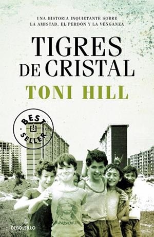 TIGRES DE CRISTAL | 9788466347204 | HILL, TONI | Llibres Parcir | Llibreria Parcir | Llibreria online de Manresa | Comprar llibres en català i castellà online
