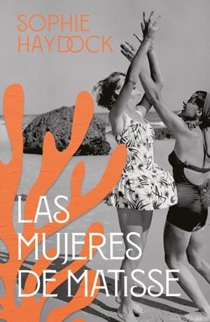 LAS MUJERES DE MATISSE | 9791387595197 | HAYDOCK, SOPHIE | Llibres Parcir | Librería Parcir | Librería online de Manresa | Comprar libros en catalán y castellano online