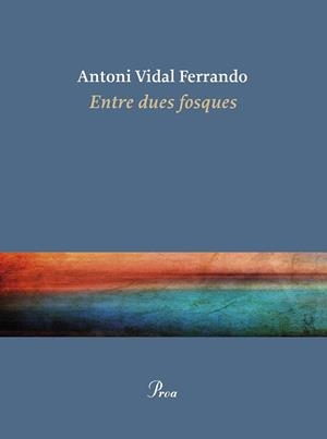ENTRE DUES FOSQUES | 9788410488434 | VIDAL FERRANDO, ANTONI | Llibres Parcir | Llibreria Parcir | Llibreria online de Manresa | Comprar llibres en català i castellà online