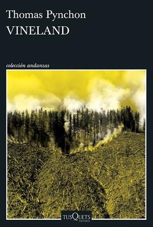 VINELAND | 9788411076500 | PYNCHON, THOMAS | Llibres Parcir | Llibreria Parcir | Llibreria online de Manresa | Comprar llibres en català i castellà online