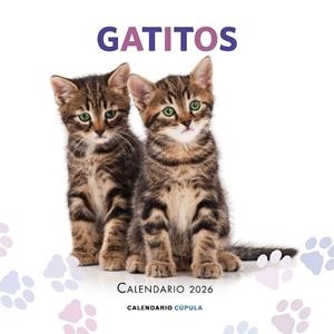 CALENDARIO GATITOS 2026 | 9788448044909 | AA. VV. | Llibres Parcir | Llibreria Parcir | Llibreria online de Manresa | Comprar llibres en català i castellà online