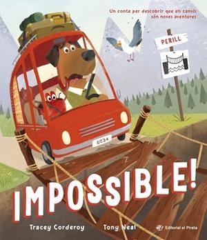 IMPOSSIBLE! | 9788419912428 | CORDEROY, TRACEY | Llibres Parcir | Llibreria Parcir | Llibreria online de Manresa | Comprar llibres en català i castellà online