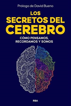 LOS SECRETOS DEL CEREBRO | 9788410981249 | Llibres Parcir | Llibreria Parcir | Llibreria online de Manresa | Comprar llibres en català i castellà online