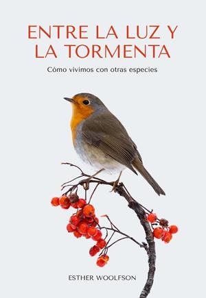 ENTRE LA LUZ Y LA TORMENTA | 9788412566338 | WOOLFSON, ESTHER | Llibres Parcir | Llibreria Parcir | Llibreria online de Manresa | Comprar llibres en català i castellà online