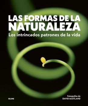 LAS FORMAS DE LA NATURALEZA | 9788410469822 | MAITLAND, DAVID | Llibres Parcir | Librería Parcir | Librería online de Manresa | Comprar libros en catalán y castellano online