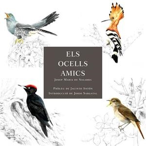 ELS OCELLS AMICS | 9788412949025 | DE SAGARRA, JOSEP MARIA | Llibres Parcir | Librería Parcir | Librería online de Manresa | Comprar libros en catalán y castellano online