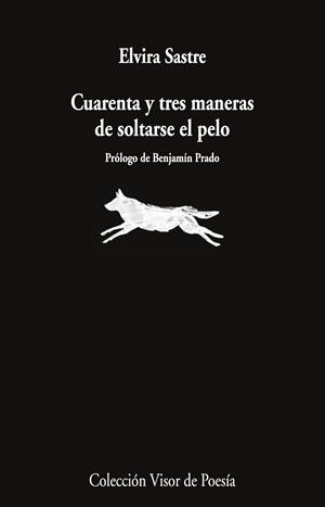 CUARENTA Y TRES MANERAS DE SOLTARSE EL PELO | 9791387745868 | SASTRE, ELVIRA | Llibres Parcir | Llibreria Parcir | Llibreria online de Manresa | Comprar llibres en català i castellà online