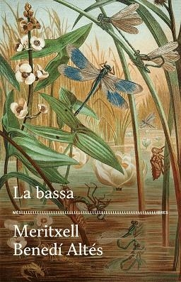 LA BASSA | 9788417353728 | BENEDÍ, MERITXELL | Llibres Parcir | Llibreria Parcir | Llibreria online de Manresa | Comprar llibres en català i castellà online