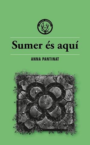 SUMER ÉS AQUÍ | 9791399014686 | ANNA PANTINAT | Llibres Parcir | Llibreria Parcir | Llibreria online de Manresa | Comprar llibres en català i castellà online