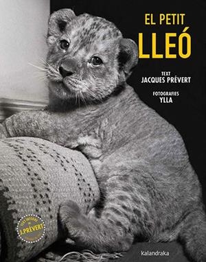 EL PETIT LLEÓ | 9788410387102 | PRÉVERT, JACQUES | Llibres Parcir | Librería Parcir | Librería online de Manresa | Comprar libros en catalán y castellano online