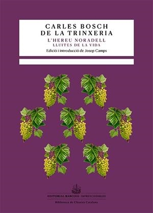 L'HEREU NORADELL | 9788416726615 | BOSCH DE LA TRINXERIA, CARLES | Llibres Parcir | Llibreria Parcir | Llibreria online de Manresa | Comprar llibres en català i castellà online