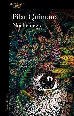 NOCHE NEGRA | 9788420477305 | QUINTANA, PILAR | Llibres Parcir | Llibreria Parcir | Llibreria online de Manresa | Comprar llibres en català i castellà online