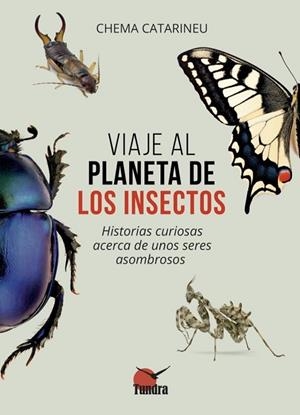 VIAJE AL PLANETA DE LOS INSECTOS | 9791387759223 | CATARINEU, CHEMA / CATARINEU, CHEMA | Llibres Parcir | Llibreria Parcir | Llibreria online de Manresa | Comprar llibres en català i castellà online