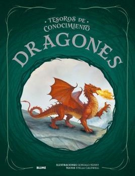 TESOROS CONOCIMIENTO. DRAGONES | 9791387881191 | KENNY, GONZALO/CALDWELL, STELLA | Llibres Parcir | Librería Parcir | Librería online de Manresa | Comprar libros en catalán y castellano online