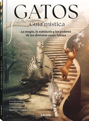 GATOS GUIA MISTICA | 9789464992007 | BELMONTE, FABIANA | Llibres Parcir | Librería Parcir | Librería online de Manresa | Comprar libros en catalán y castellano online
