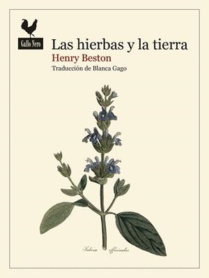 LAS HIERBAS Y LA TIERRA | 9788419168740 | BESTON, HENRY | Llibres Parcir | Llibreria Parcir | Llibreria online de Manresa | Comprar llibres en català i castellà online