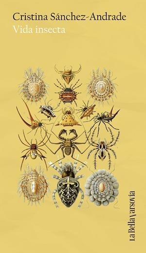 VIDA INSECTA | 9788433949653 | SÁNCHEZ-ANDRADE, CRISTINA | Llibres Parcir | Librería Parcir | Librería online de Manresa | Comprar libros en catalán y castellano online