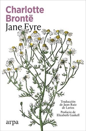 JANE EYRE | 9791387833947 | BRONTË, CHARLOTTE | Llibres Parcir | Llibreria Parcir | Llibreria online de Manresa | Comprar llibres en català i castellà online
