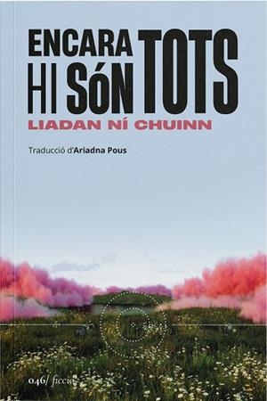 ENCARA HI SÓN TOTS | 9788419059598 | NÍ CHUINN, LIADAN | Llibres Parcir | Llibreria Parcir | Llibreria online de Manresa | Comprar llibres en català i castellà online