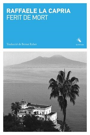 FERIT DE MORT | 9791399140989 | LA CAPRIA, RAFFAELE | Llibres Parcir | Llibreria Parcir | Llibreria online de Manresa | Comprar llibres en català i castellà online