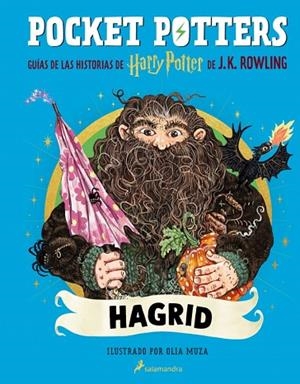 POCKET POTTERS - HAGRID | 9788419868862 | ROWLING, J.K. | Llibres Parcir | Llibreria Parcir | Llibreria online de Manresa | Comprar llibres en català i castellà online