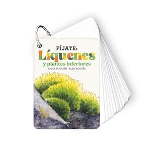 FÍJATE: LÍQUENES Y PLANTAS INFERIORES | 9788410407619 | SANJUAN LLORENS, ANNA/NOGUÉS, ALEX | Llibres Parcir | Llibreria Parcir | Llibreria online de Manresa | Comprar llibres en català i castellà online