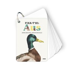 FIXA-T'HI: AUS | 9788410407640 | SANJUAN LLORENS, ANNA/BAUCELLS COLOMER, RAMON | Llibres Parcir | Llibreria Parcir | Llibreria online de Manresa | Comprar llibres en català i castellà online